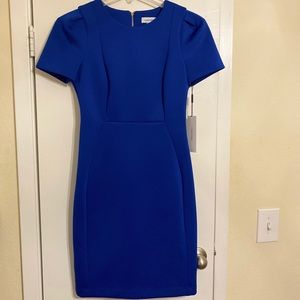 Calvin Klein Blue Short Sleeve Dress.